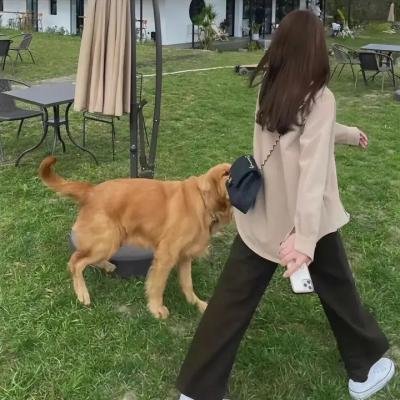 消失